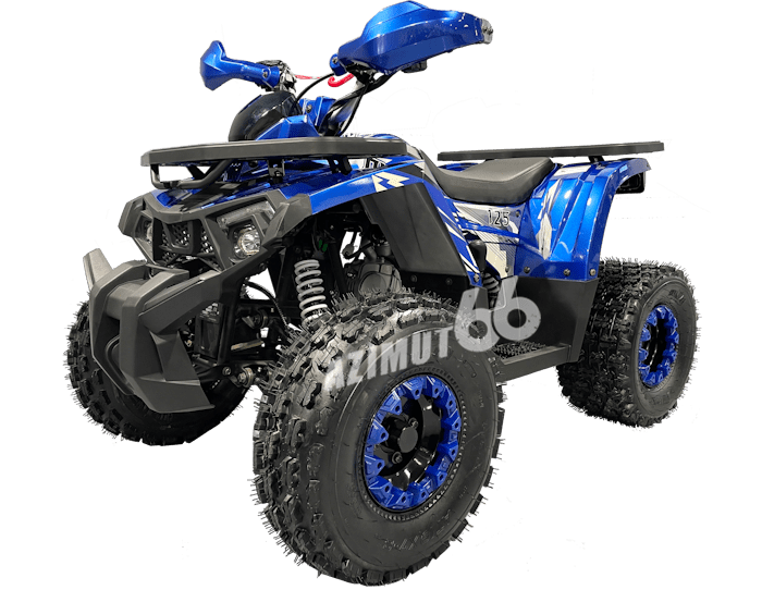 Квадроцикл Motoland 125 WILD X (3F+1R) синий