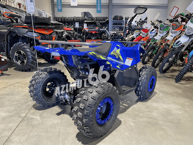 Квадроцикл Iride ROVER Mini 125